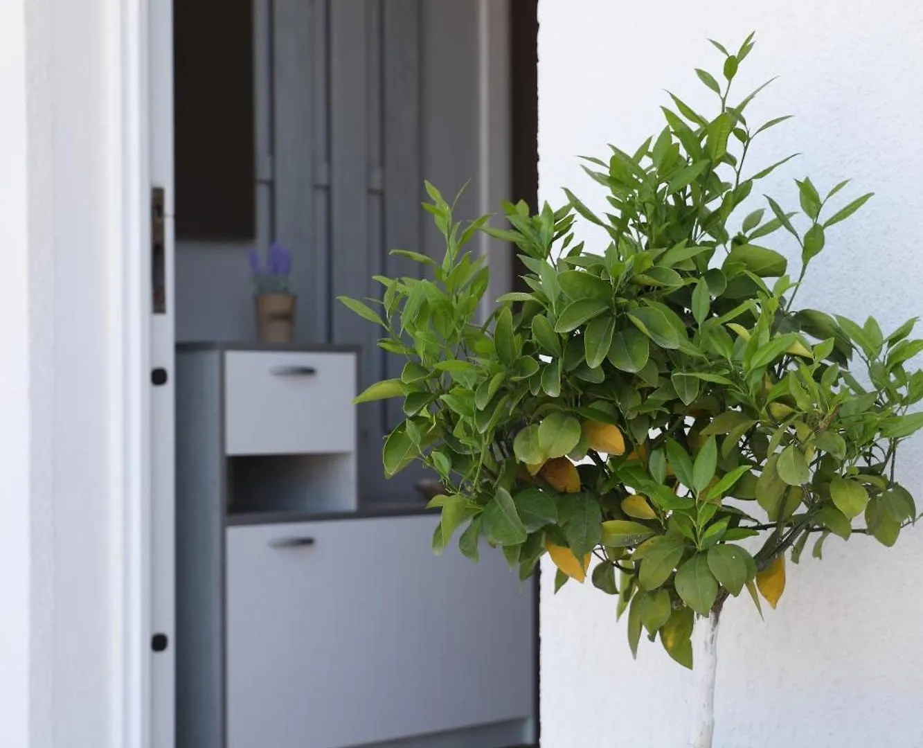Tea Residence, Gjiri I Lalzit Apartments Durres Albania