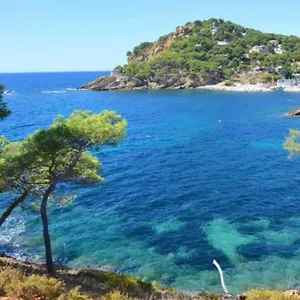 Appartement Grand 30m Avec Jardin Proche Des Plages France